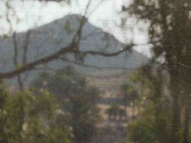 Vista desde mi ventana