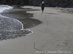 Oscar Molina par Jeanne Chevalier